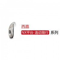 逸動隨行 NX