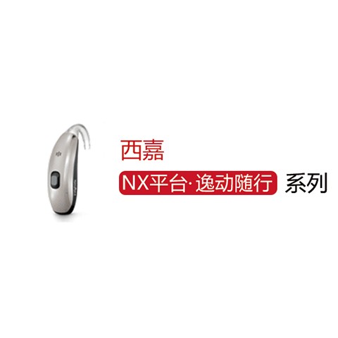 逸動隨行 NX